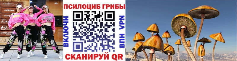 Псилоцибиновые грибы Psilocybe наркотики Киров
