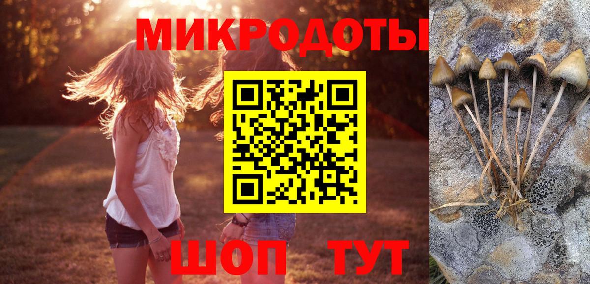 Псилоцибиновые грибы мицелий Киров