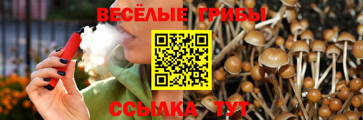 Киров  где купить наркоту  Вход с VPN  Галлюциногенные грибы прущие грибы 